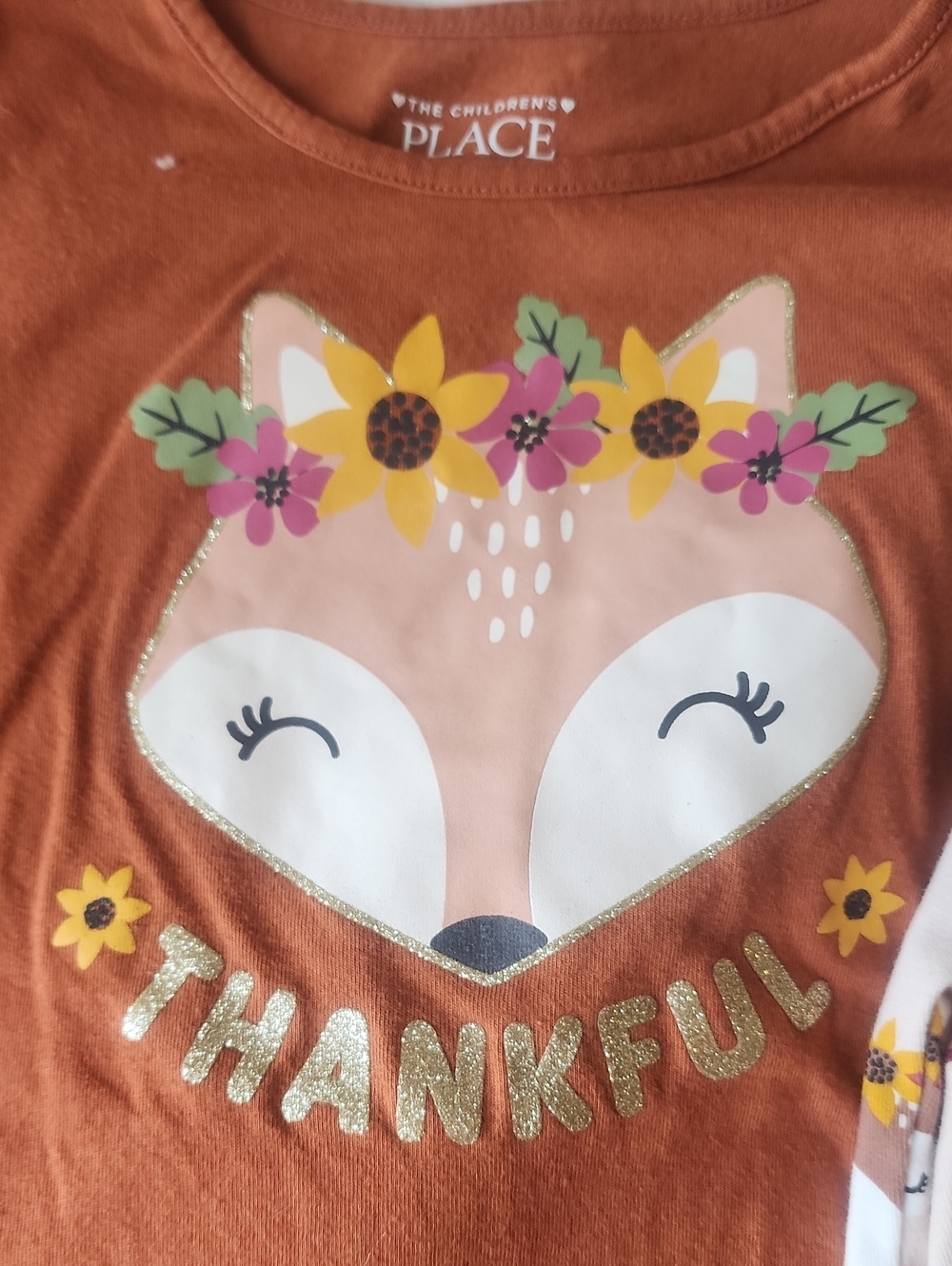 Sz 4T The Children's Place Thankful Rust Top & Woodland Creature Leggings - Picture 3 of 5